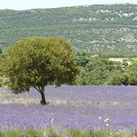 La Pause Ardechoise Saint-Remeze